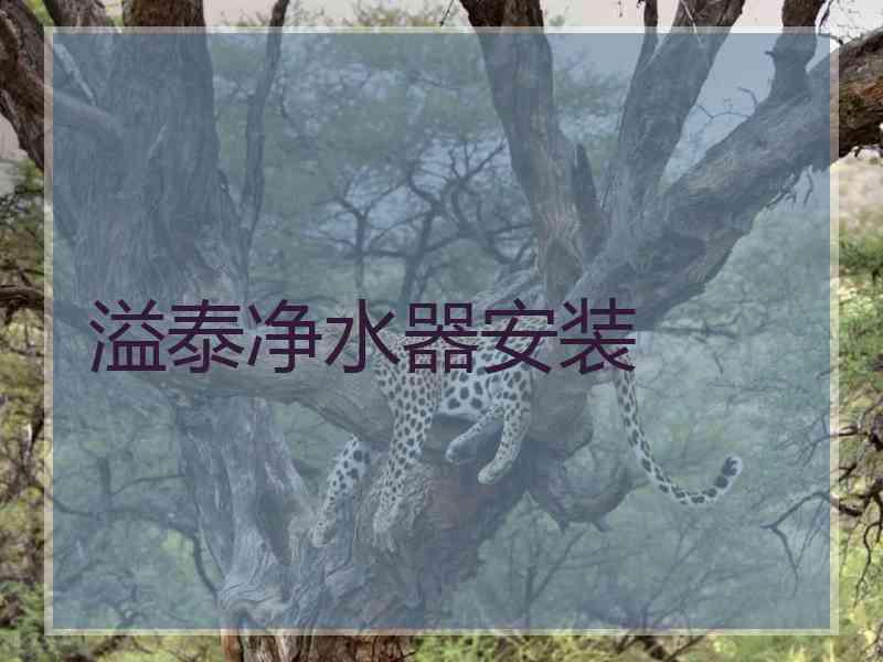 溢泰净水器安装