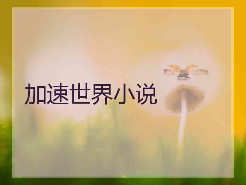 加速世界小说