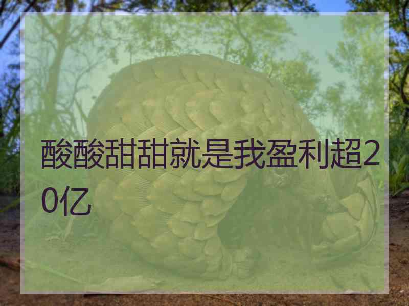 酸酸甜甜就是我盈利超20亿