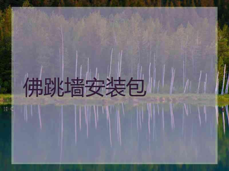 佛跳墙安装包