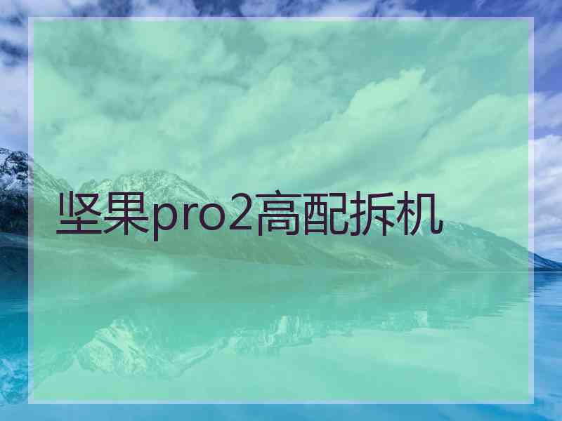 坚果pro2高配拆机