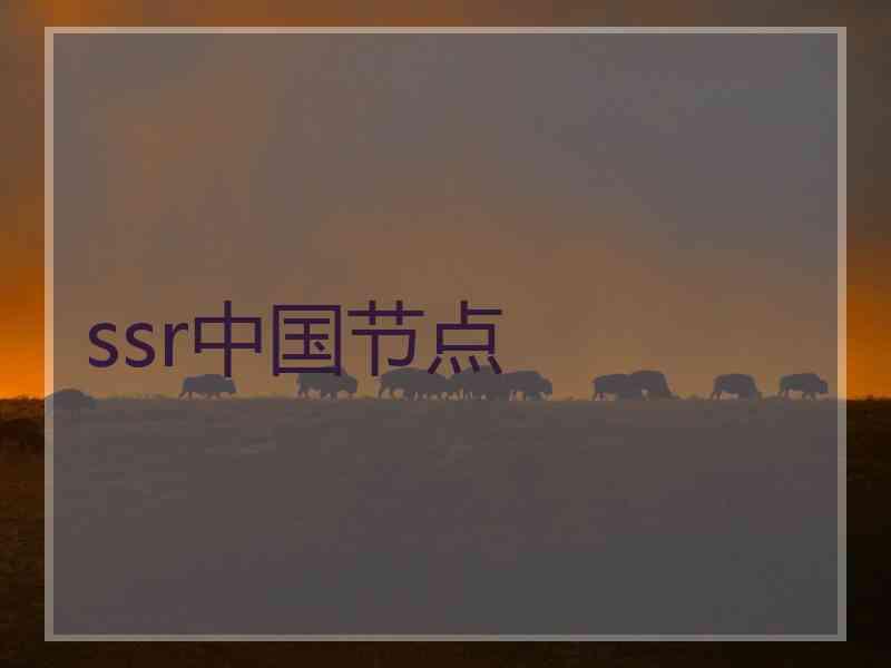 ssr中国节点