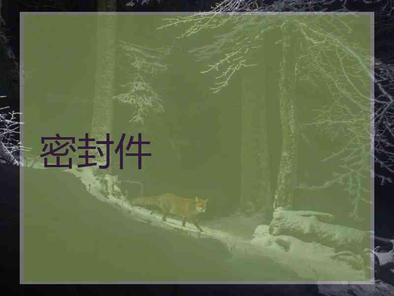 密封件