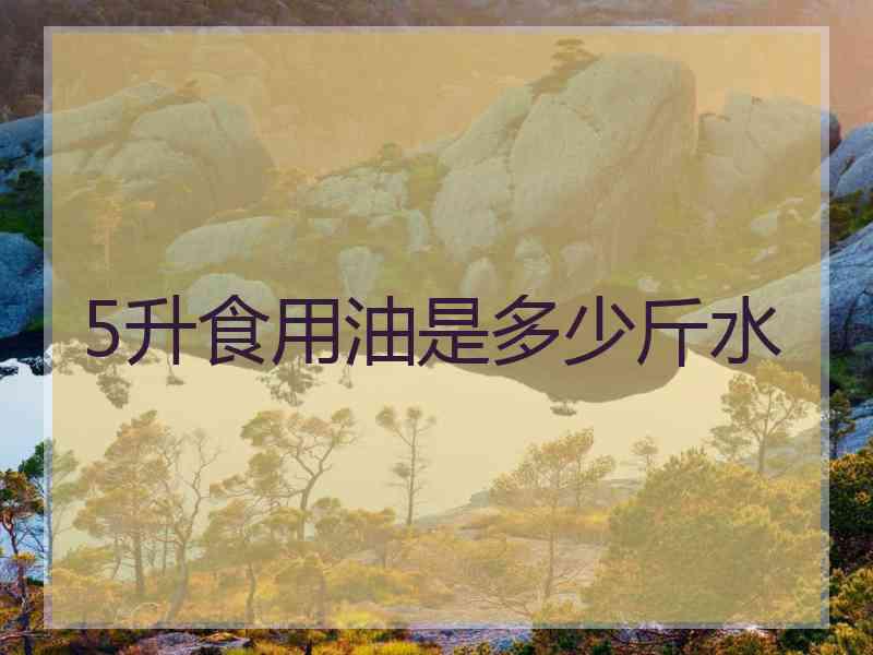 5升食用油是多少斤水