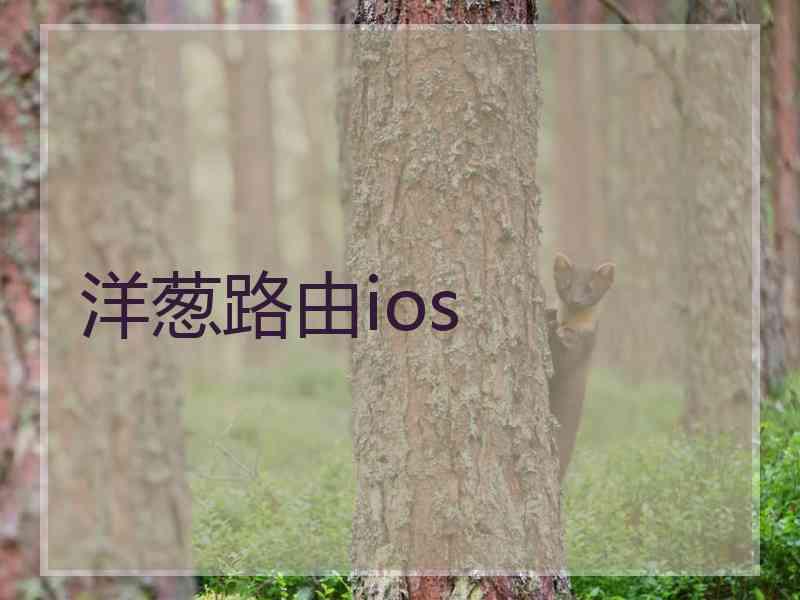 洋葱路由ios
