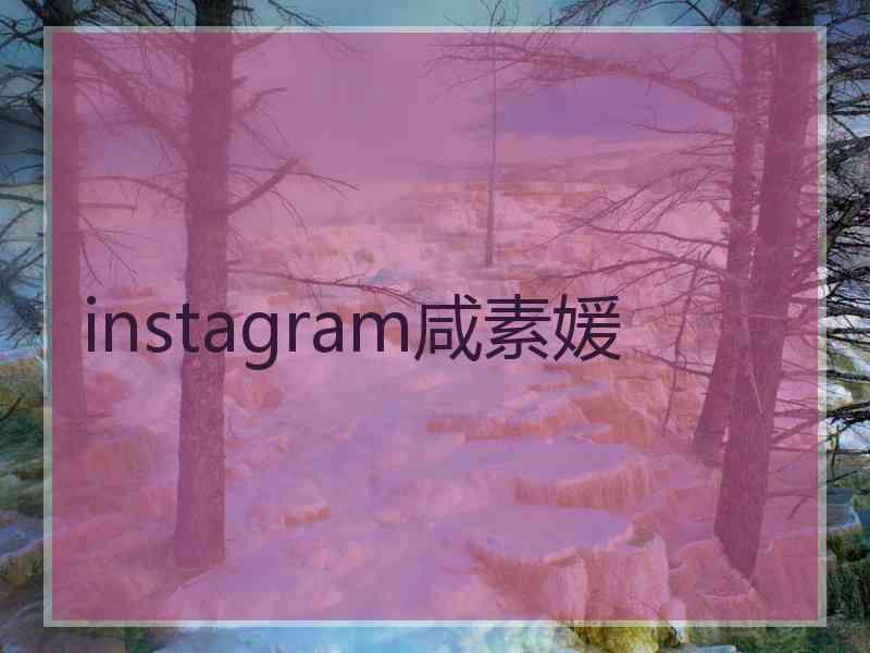 instagram咸素媛