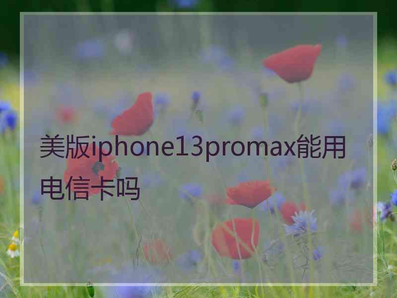 美版iphone13promax能用电信卡吗