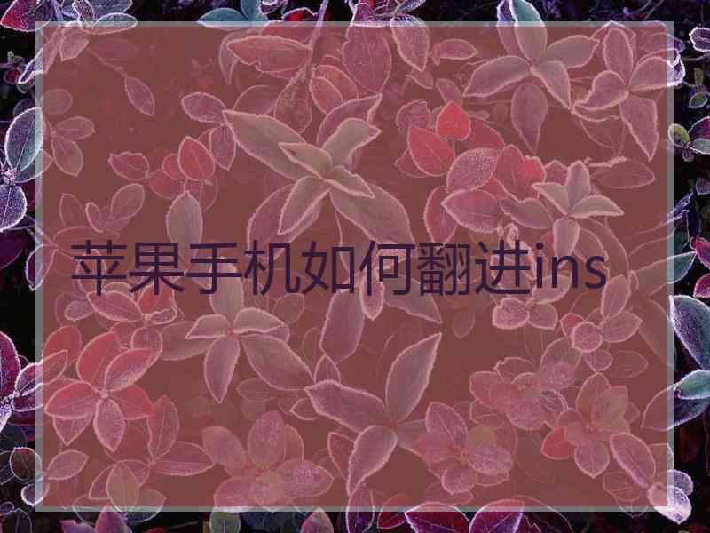 苹果手机如何翻进ins