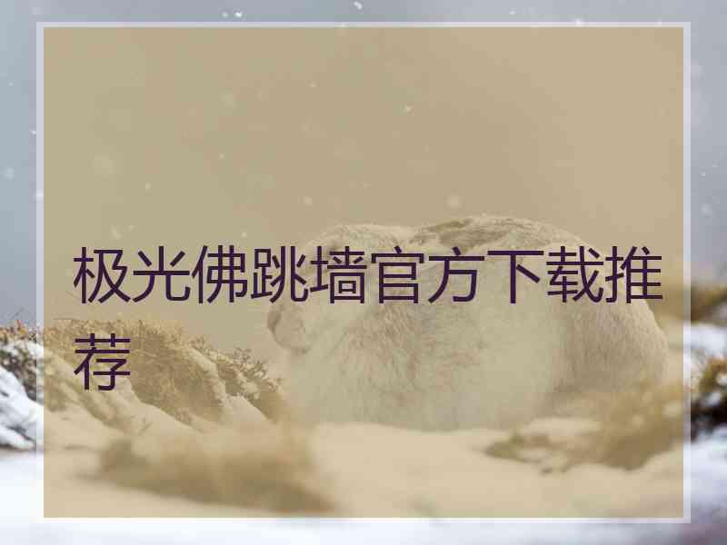 极光佛跳墙官方下载推荐