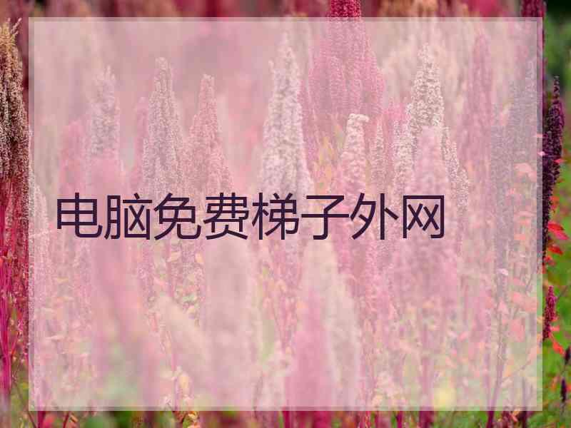 电脑免费梯子外网