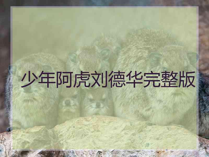 少年阿虎刘德华完整版