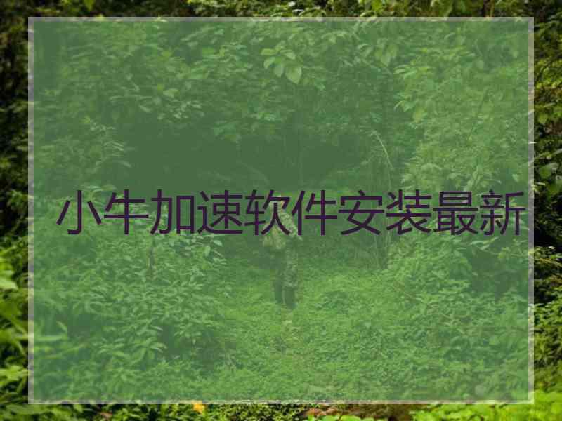 小牛加速软件安装最新