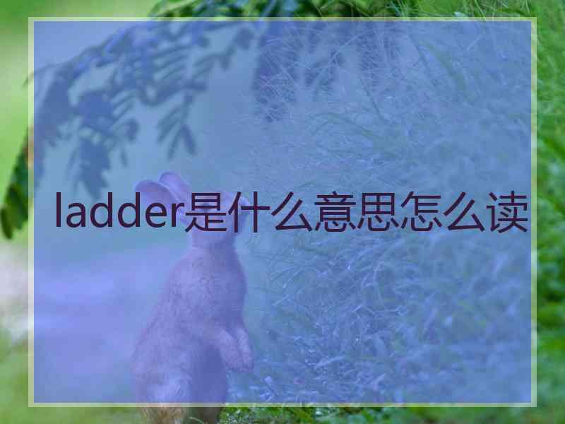 ladder是什么意思怎么读