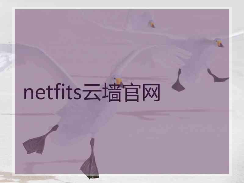 netfits云墙官网