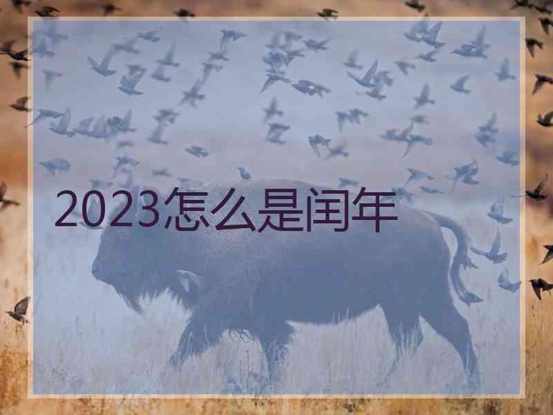 2023怎么是闰年