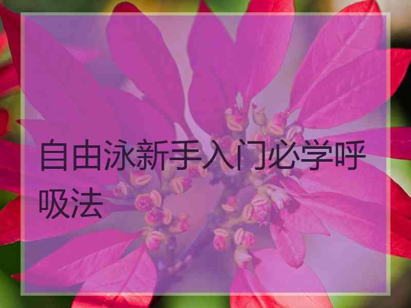 自由泳新手入门必学呼吸法