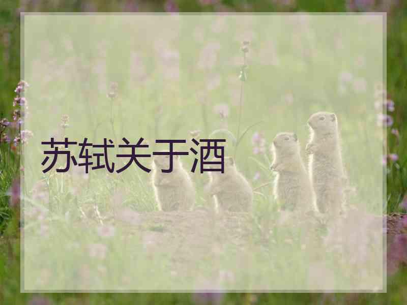 苏轼关于酒