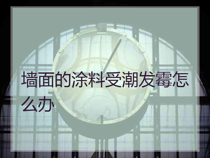 墙面的涂料受潮发霉怎么办