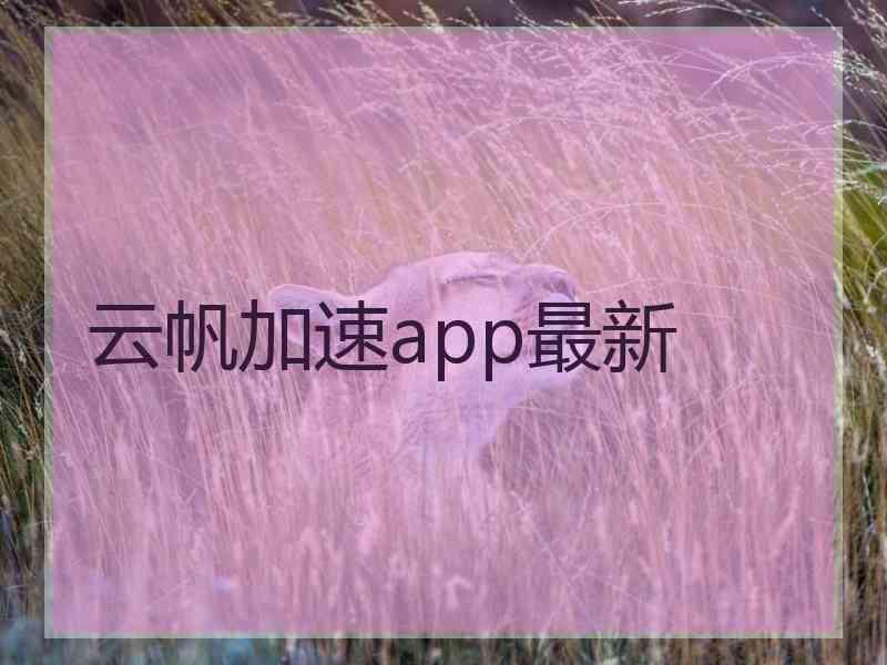 云帆加速app最新