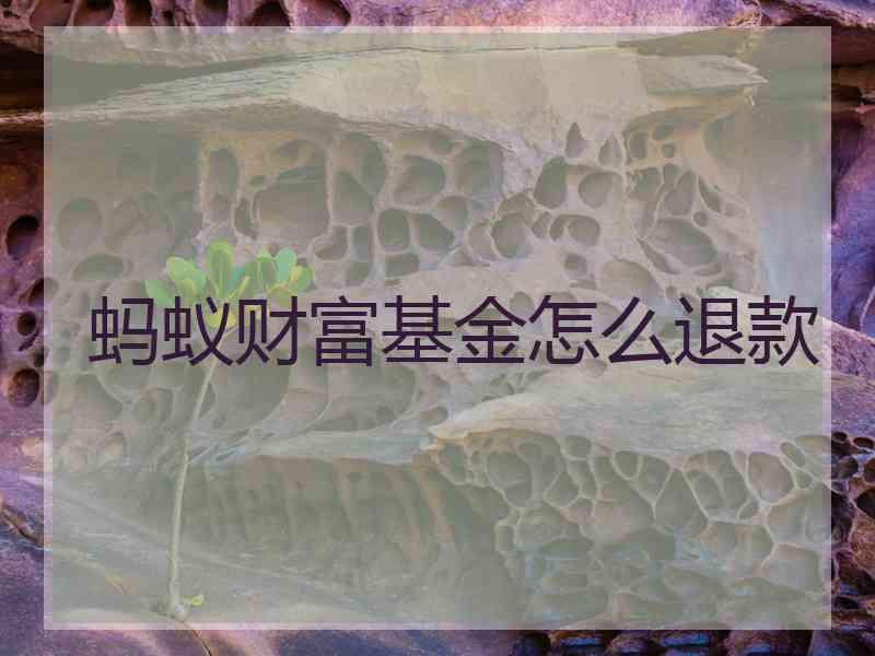 蚂蚁财富基金怎么退款