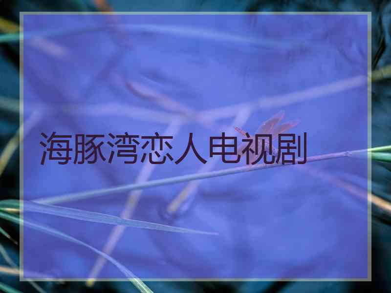 海豚湾恋人电视剧