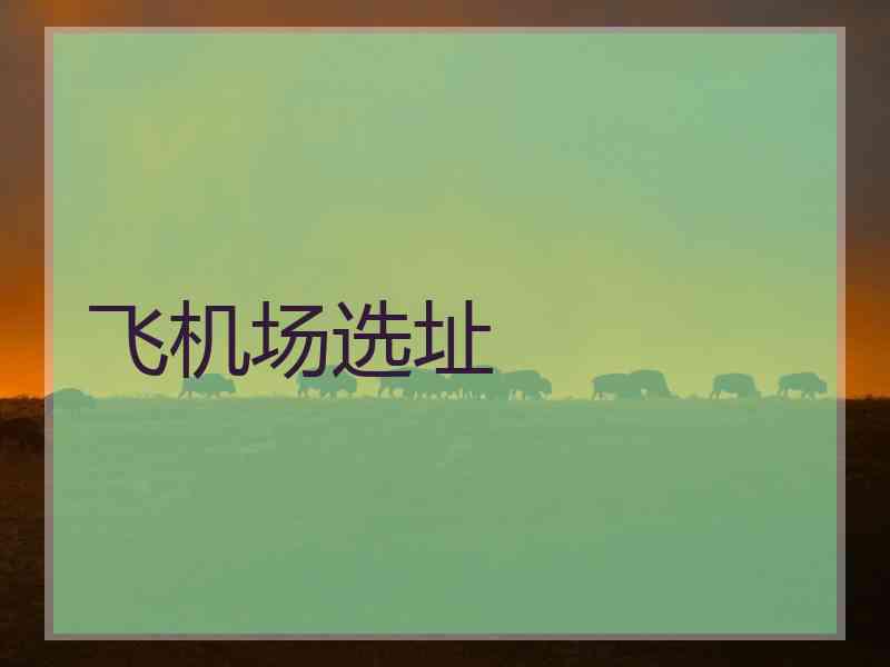 飞机场选址