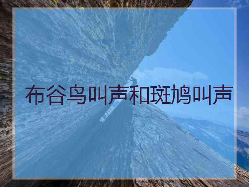 布谷鸟叫声和斑鸠叫声
