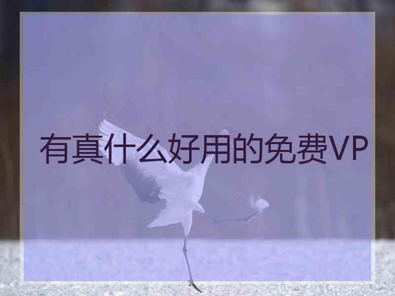 有真什么好用的免费VP