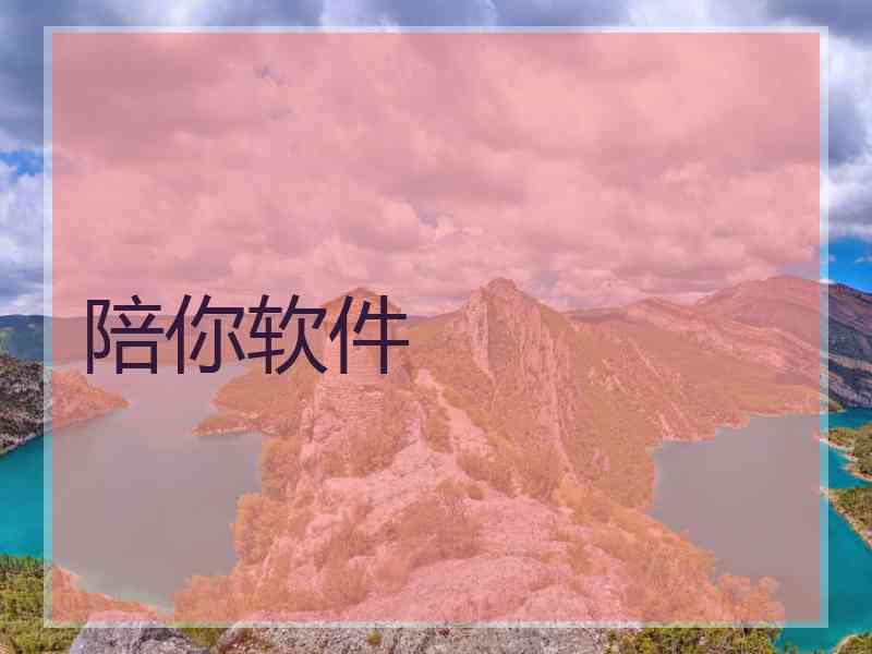 陪你软件