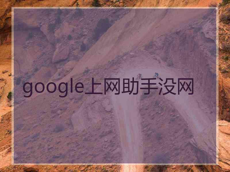 google上网助手没网
