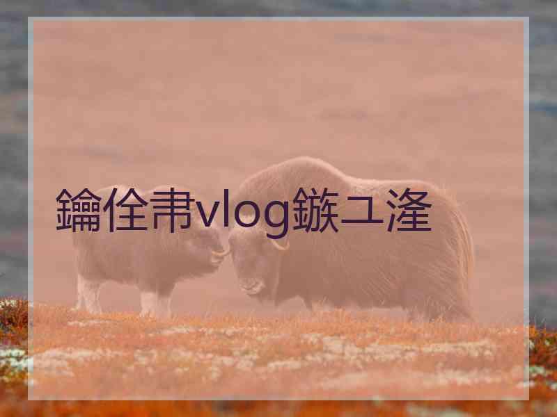 鑰佺帇vlog鏃ユ湰