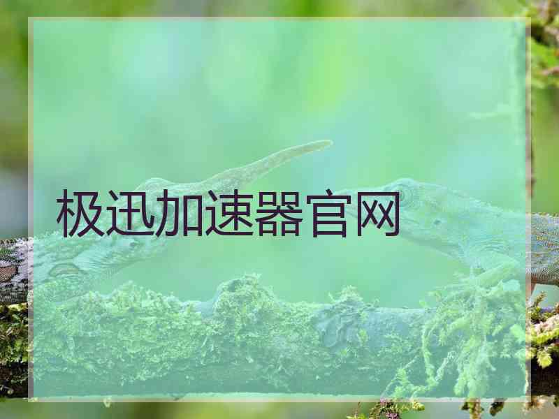 极迅加速器官网