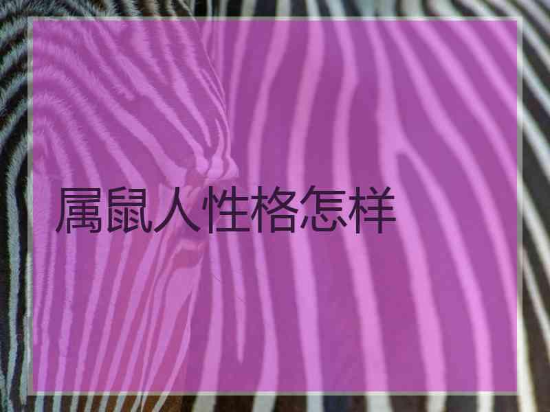 属鼠人性格怎样