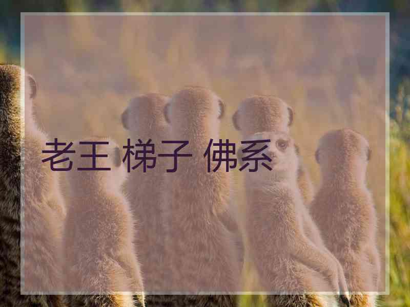 老王 梯子 佛系
