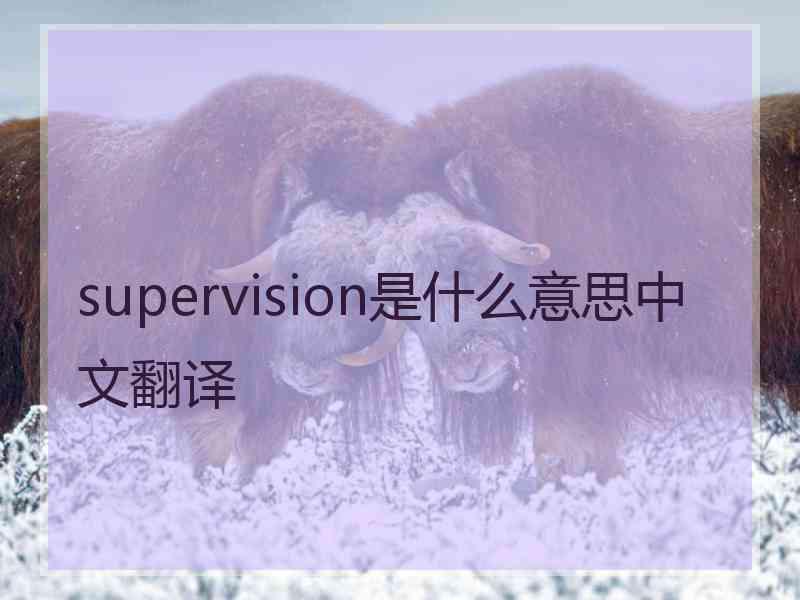 supervision是什么意思中文翻译