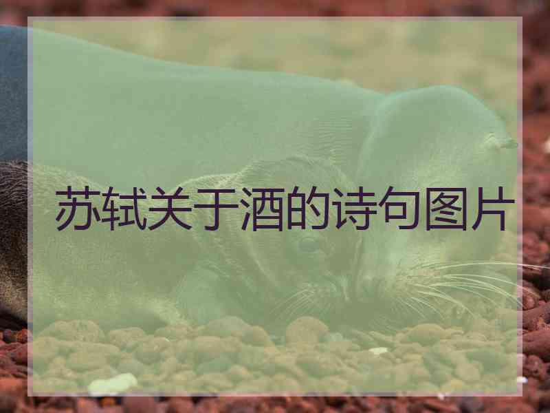 苏轼关于酒的诗句图片
