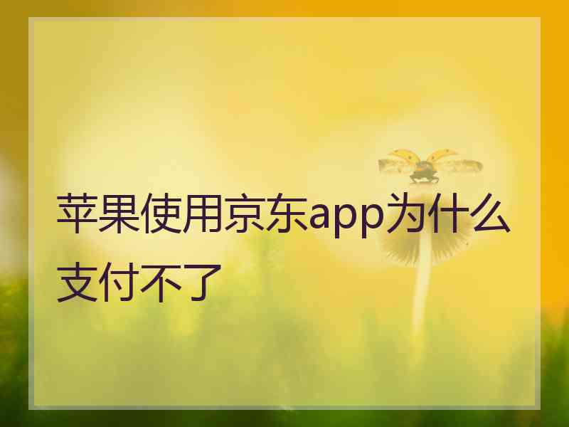 苹果使用京东app为什么支付不了