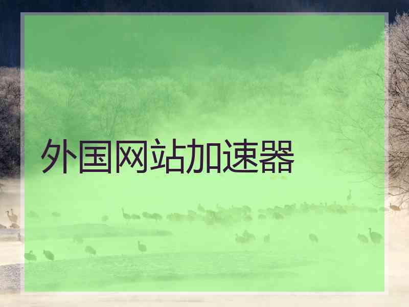 外国网站加速器