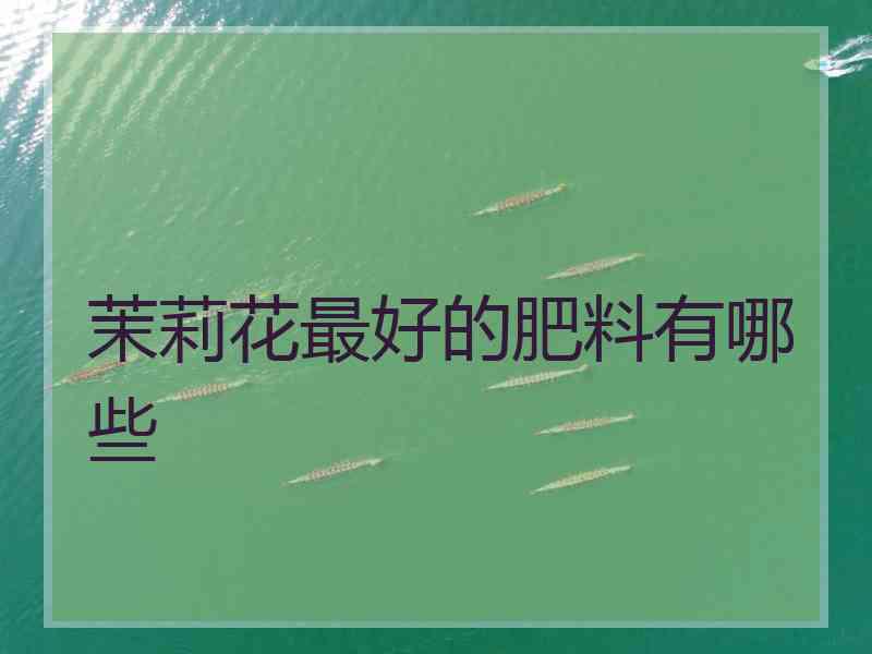茉莉花最好的肥料有哪些