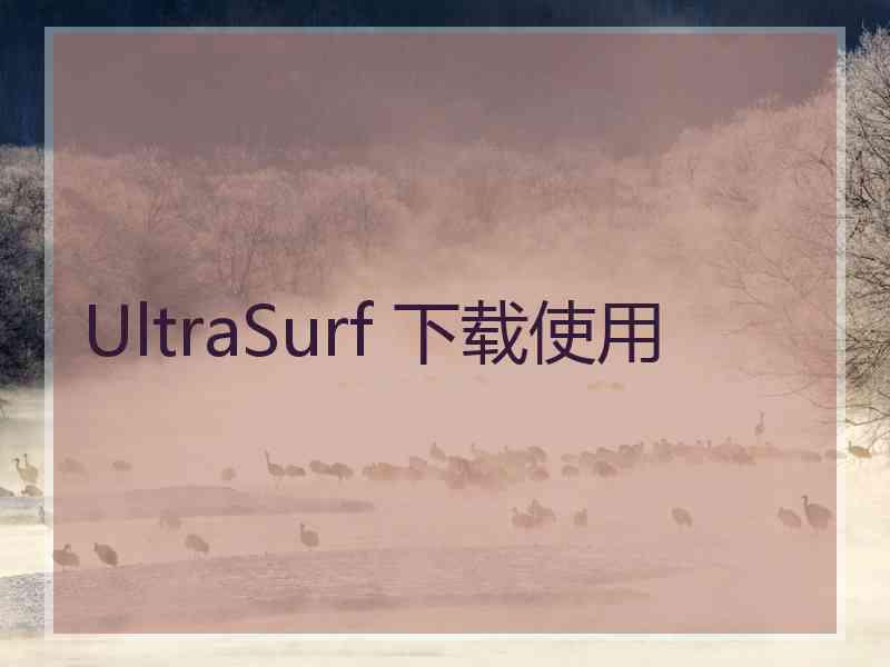 UltraSurf 下载使用