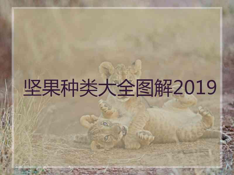 坚果种类大全图解2019