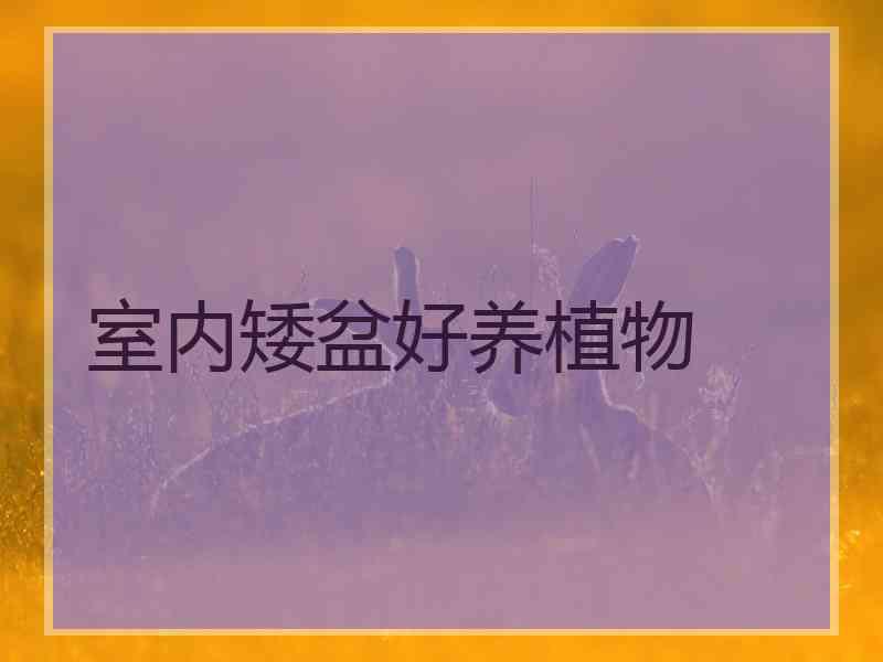 室内矮盆好养植物