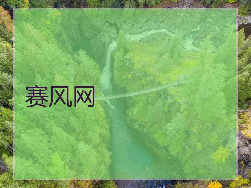 赛风网