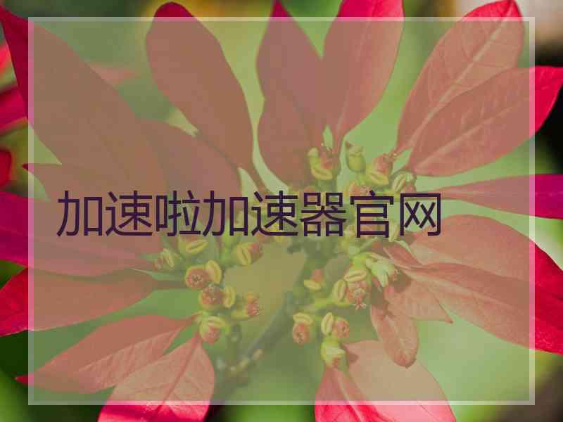 加速啦加速器官网