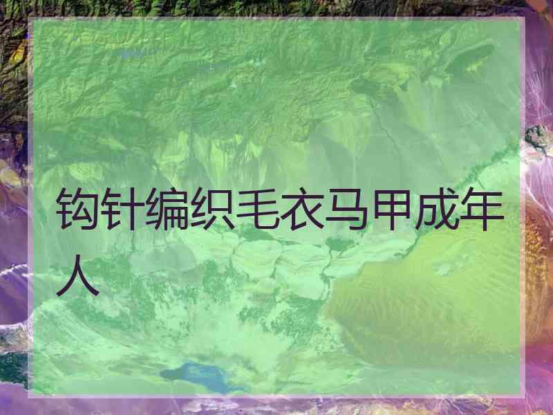 钩针编织毛衣马甲成年人