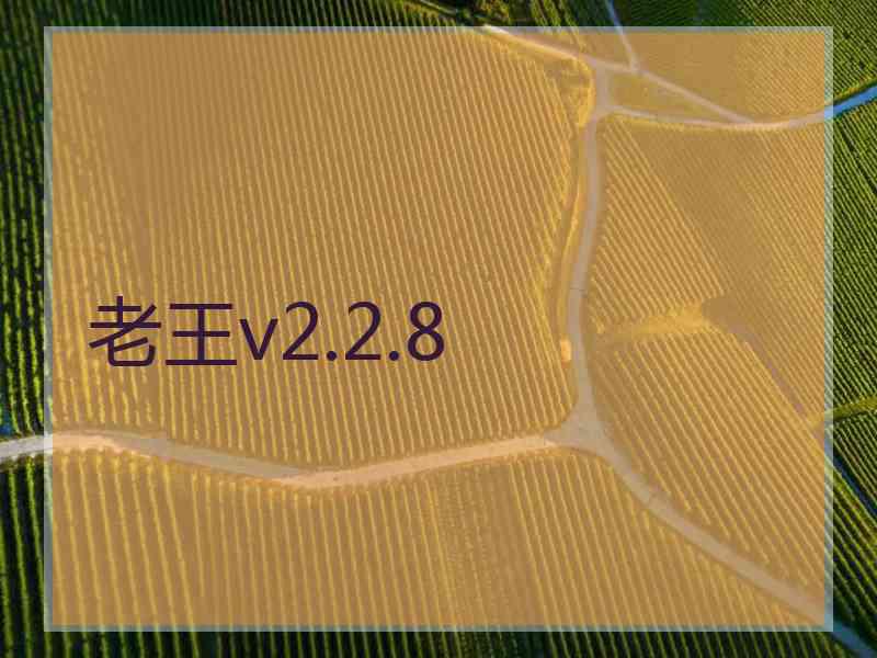 老王v2.2.8