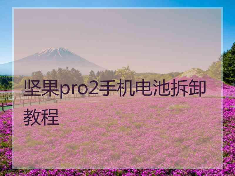坚果pro2手机电池拆卸教程