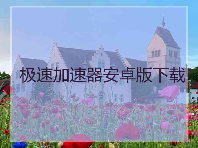 极速加速器安卓版下载