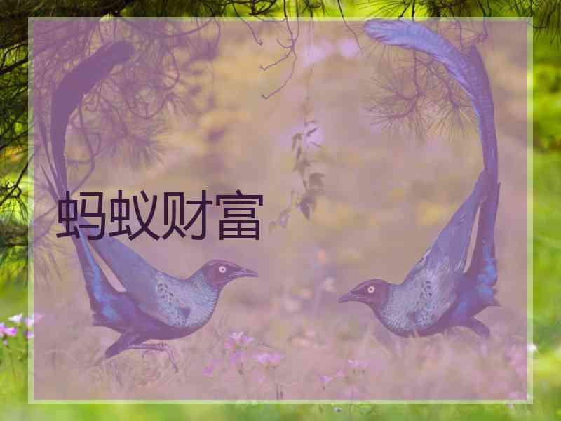 蚂蚁财富