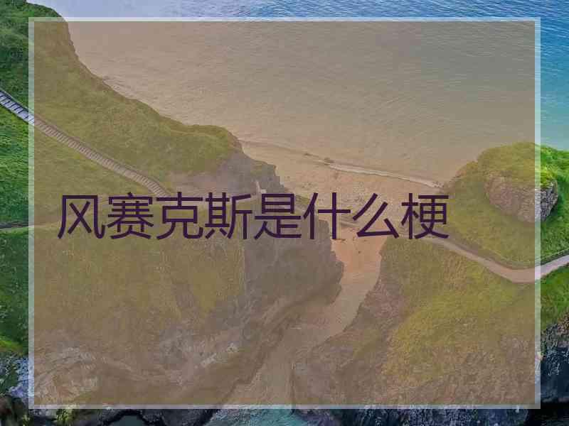 风赛克斯是什么梗